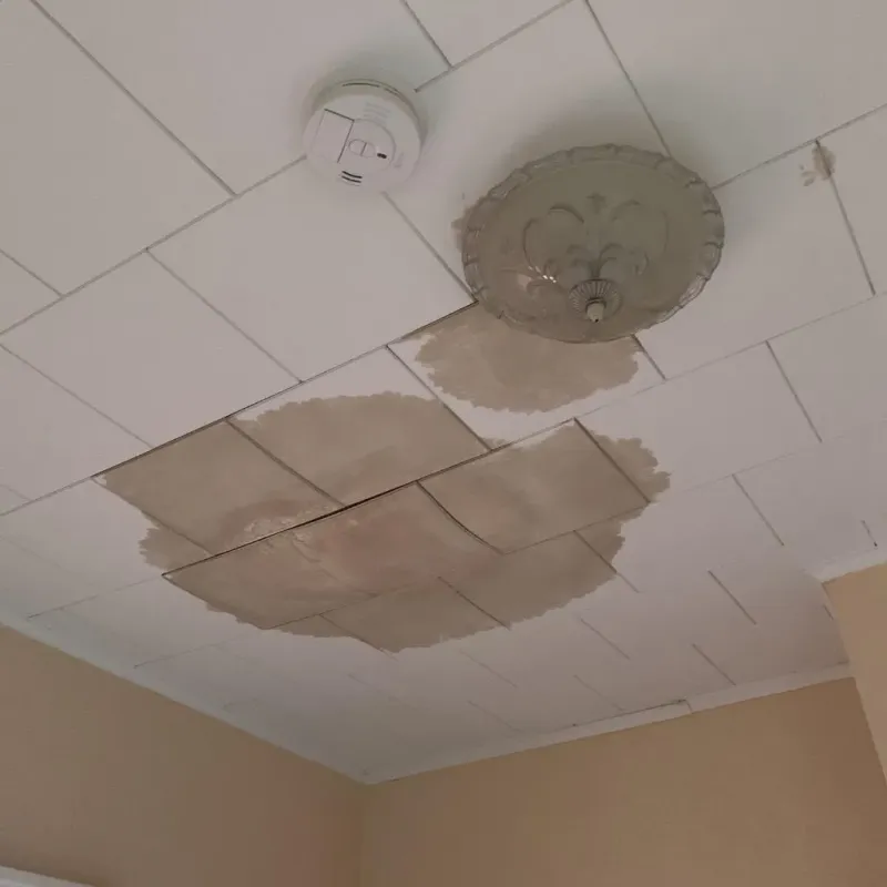 Ceiling Water Damage Repair in Port Jefferson Station, NY